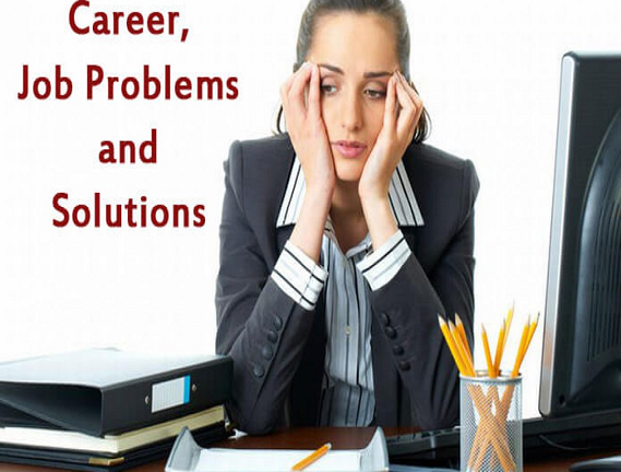 Service Provider of Career Job Problem Solution in Uttar Pradesh, Noida, India.