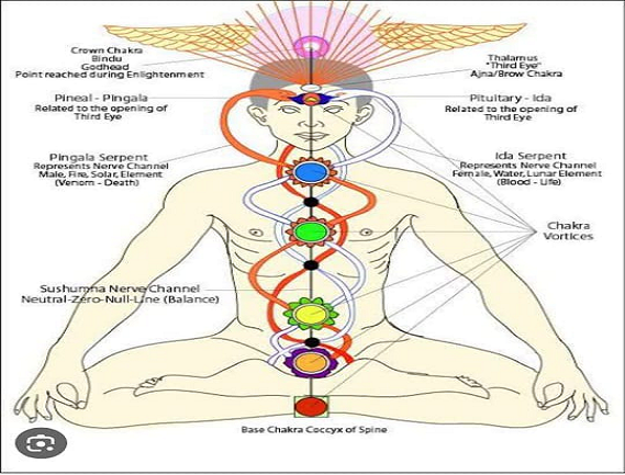 Service Provider of Chakra Physique in Uttar Pradesh, Noida, India.