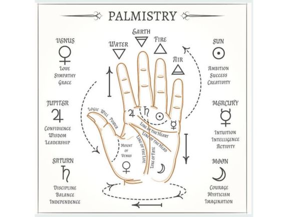 Service Provider of Palmist Solution in Uttar Pradesh, Noida, India.